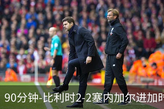 90分钟-比利时2-2塞内加尔进加时 卢卡库替补建功蒂莱曼斯绝平